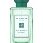 Star Magnolia Cologne