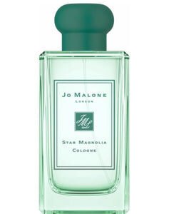 Star Magnolia Cologne