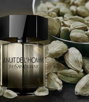La Nuit de L'Homme Yves Saint Laurent
